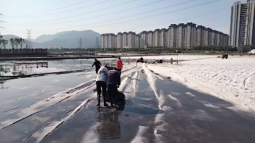 微信图片_20250613114740