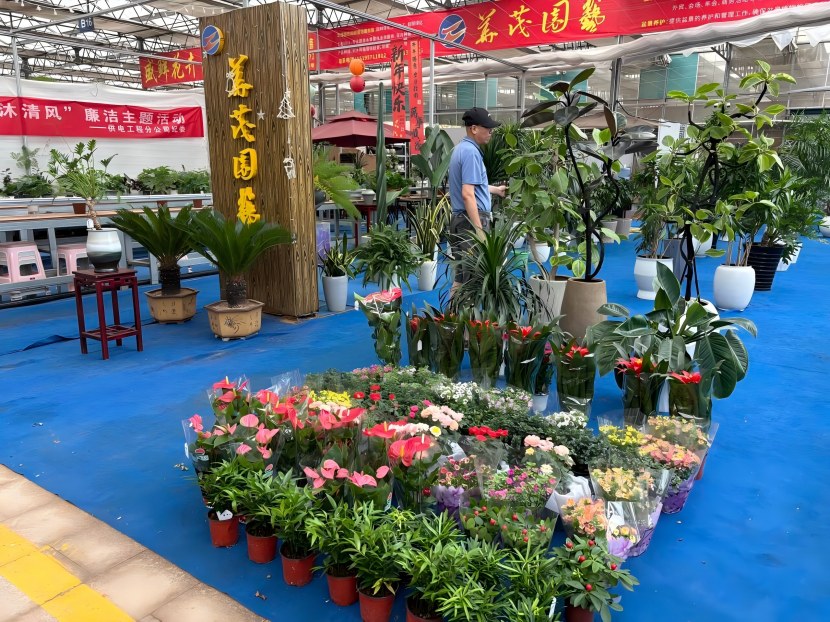 1759457999522 益丰6