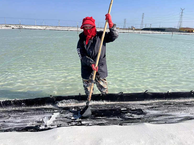 女工7.png 女工7.png